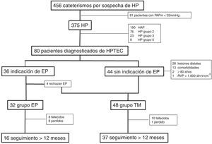 Diagrama de flujo de los pacientes incluidos en el estudio. EP: endarterectomía pulmonar; HAP: hipertensión arterial pulmonar; HP: hipertensión pulmonar; PAPm: presión arterial pulmonar media; RVP: resistencia vascular pulmonar; TM: tratamiento médico.