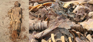 En la imagen de la izquierda se observa la momia previa a su apertura. En la imagen de la derecha se puede ver (flecha blanca) el pulmón y (flecha oscura) el pilar del diafragma.