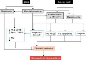 Mecanismos propuestos por los que el SAHS puede favorecer el desarrollo de complicaciones microvasculares de la diabetes. AGE: productos finales o residuos de la glucación avanzada; ET-1: endotelina-1; NO: óxido nítrico; PAI-1: inhibidor del activador del plasminógeno-1; TGF-β: factor de crecimiento tisular β; VEGF: factor de crecimiento endotelial vascular.