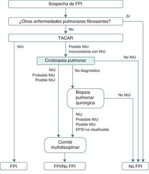 Algoritmo diagnóstico de la fibrosis pulmonar idiopática propuesto tras la incorporación de la criobiopsia de manera sistemática antes de realizar una biopsia pulmonar quirúrgica. EPID: enfermedad pulmonar intersticial difusa; FPI: fibrosis pulmonar idiopática; NIU: neumonía intersticial usual; TACAR: tomografía computarizada de alta resolución.