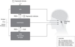 Interacciones de estímulos periféricos del reflejo de la tos.