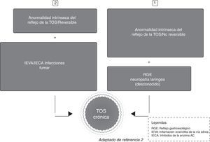 Dos posibles vías de acceso de los estímulos para la tos crónica.