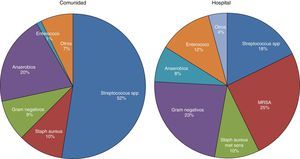 Microbiología de la infección pleural adquirida en la comunidad y en el hospital20. MRSA: Staphylococcus aureus resistente a la meticilina.