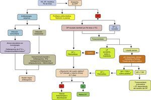 Algoritmo para el tratamiento del derrame pleural paraneumónico. DP: derrame pleural; DPP: derrame pleural paraneumónico; DT: drenaje torácico; EF: exploración física; ET: ecografía torácica; G: generación; HC: historia clínica; LP: líquido pleural; Rx: radiografía; TC: tomografía computarizada. 1 Si alergia a la penicilina: quinolona+metronidazol. 2 Si no se puede determinar el pH, utilizar LDH>1.000UI/l o glucosa <60mg/dl.
