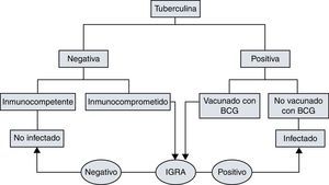 Árbol de actuación e interpretación de la tuberculina e IGRA12.