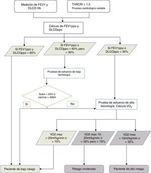 Algoritmo de decisión para la clasificación del riesgo quirúrgico. FEV1: volumen espiratorio forzado en el primer segundo; DLCO: capacidad de difusión del CO; Hb: hemoglobina; ThRCRI: Thoracic Revised Cardiac Risk Index; ppo: previsto postoperatorio; VO2: consumo de oxígeno; max: máximo.