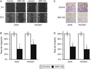 La expresión del MiR-133 inhibe la migración y la invasión de células de cáncer de pulmón. A) Prueba de cicatrización de heridas con líneas celulares A549 y HCC827, tras transfección con control miARN negativo o miR-133. B) Las distancias de migración respecto al control en la prueba de cicatrización de heridas se determinaron 24h después del daño. C) Prueba de invasión celular con líneas celulares A549 y HCC827, tras transfección con control miARN negativo o miR-133. D) El número de células invadidas respecto al control se cuantificó 24h después de sembrar las células. Los valores son medias ± EEM de 3 experimentos independientes. * p < 0,05 frente al control respectivo.