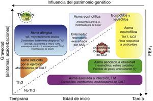 Fenotipos clínicos de asma y de tratamiento. Los fenotipos se representan de acuerdo con la edad de inicio, la gravedad de la enfermedad, la inflamación dependiente o no de Th2 y la influencia de la base genética. Además del tratamiento clásico con agonistas beta, los tratamientos específicos para cada grupo se señalan en cursiva.Ac: anticuerpo; CisLTs: cisteinil-leucotrienos; IL: interleucina; ILC: células linfoides innatas TSLP: linfopoyetina del estroma tímico.