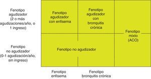 Fenotipos de la EPOC. ACO: solapamiento asma y EPOC.