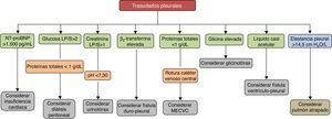 Diagnóstico de los trasudados pleurales a través del análisis del líquido pleural. LP/S: cociente líquido pleural/suero; MECVC: migración extravascular de un catéter venoso central; NT-proBNP: fracción amino-terminal del propéptido natriurético cerebral.