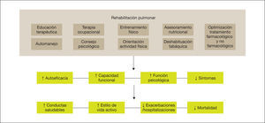 Los componentes de un programa de rehabilitación pulmonar completo e integrado tienen un efecto directo y positivo sobre el paciente, tanto a nivel físico como psicológico, favoreciendo que el paciente se vuelva más proactivo hacia su enfermedad, adquiriendo conductas de vida saludable y, por consiguiente, reduciendo el riesgo de exacerbaciones y mortalidad. Adaptada de Spruit et al22.