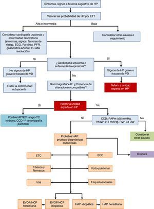 Algoritmo diagnóstico de la hipertensión pulmonar. CCD: cateterismo cardiaco derecho; ECC: enfermedad cardiaca congénita; ECG: electrocardiograma; ETC: enfermedades del tejido conectivo; ETT: ecocardiografía transtorácica; EVOP: enfermedad venooclusiva pulmonar; HAP: hipertensión arterial pulmonar; HCP: hemangiomatosis capilar pulmonar; HP: hipertensión pulmonar; HPTEC: hipertensión pulmonar tromboembólica crónica; PAPm: presión arterial pulmonar media; PAWP: presión de oclusión arterial pulmonar; PFR: pruebas funcionales respiratorias; RVP: resistencia vascular pulmonar; Rx: radiografía; TC: tomografía computarizada; UW: unidades Wood; V-Q: ventilación-perfusión; VD: ventrículo derecho; VIH: virus de la inmunodeficiencia humana.