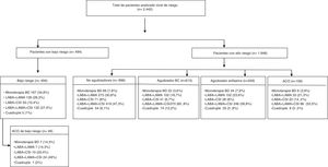 Tratamiento farmacológico según nivel de riesgo y el fenotipo clínico de la GesEPOC. ACO: fenotipo mixto asma-EPOC o ACO; BD: broncodilatadora; Cuádruple: antimuscarínico de larga duración/β-2 adrenérgico de larga duración/corticosteroide inhalado/otro fármaco (roflumilast o teofilina o antibiótico a largo plazo); LABA: β-2 adrenérgico de larga duración; LABA/CSI: β-2 adrenérgico de larga duración/corticosteroide inhalado; LABA/LAMA: β-2 adrenérgico de larga duración/antimuscarínico de larga duración; LAMA: antimuscarínico de larga duración; LAMA/LABA/CSI: antimuscarínico de larga duración/β-2 adrenérgico de larga duración/corticosteroide inhalado.