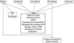 Variables y muestras recogidas en las diferentes fases del estudio. El estudio durará un mínimo de 10 años. La TC torácica se realizará al inicio y cada 5 años. La metacolina y el esputo inducido se realizarán al inicio y cada 2 años.