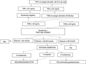 Algoritmo del screening neonatal de fibrosis quística en Andalucía.