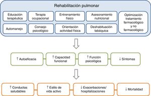 Los componentes de un programa de rehabilitación pulmonar completo e integrado tienen un efecto directo y positivo sobre el paciente, tanto a nivel físico como psicológico, favoreciendo que el paciente se vuelva más proactivo hacia su enfermedad, adquiriendo conductas de vida saludable y, por consiguiente, reduciendo el riesgo de exacerbaciones y mortalidad.Adaptada de Spruit et al.27.