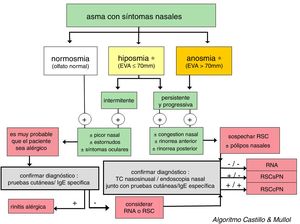 Algoritmo diagnóstico basado en la pérdida de olfato para discriminar entre rinitis y rinosinusitis crónica en pacientes asmáticos. En la figura se muestra el algoritmo diagnóstico en el paciente asmático con síntomas nasales para discriminar entre rinitis, con o sin alergia, y rinosinusitis crónica, con o sin pólipos nasales. EVA: evaluación analógica visual; RNA: rinitis no alérgica; RSCcPN: rinosinusitis con pólipos nasales; RSCsPN: rinosinusitis crónica sin pólipos nasales. * Ante una hiposmia/anosmia siempre deben descartarse primero otras causas frecuentes, tales como un traumatismo craneoencefálico (p.ej., accidente) o una virasis (p.ej., resfriado común o gripe).