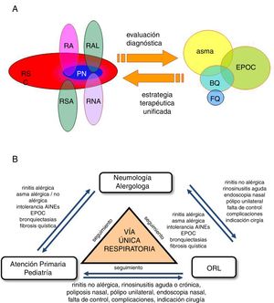 Comorbilidades y manejo multidisciplinario de la patología de la vía respiratoria única. A)Comorbilidades de enfermedades nasosinusales y broncopulmonares en el concepto de vía respiratoria única. Además del asma, la enfermedad pulmonar obstructiva crónica (EPOC), las bronquiectasias (BQs) y la fibrosis quística (FQ) pueden asociarse a diferentes enfermedades de la vía respiratoria superior, como rinitis alérgica (RA), rinitis alérgica local (RAL), rinitis no alérgica (RNA), rinosinusitis aguda (RSA) o crónica (RSC) con o sin pólipos nasales (PN). Para su manejo conjunto es necesario realizar una evaluación diagnóstica completa junto a una estrategia terapéutica unificada. B)Manejo multidisciplinario de la vía respiratoria única. La vía respiratoria es un ámbito común entre varias especialidades médicas. Idealmente, los diferentes especialistas implicados (neumólogos, alergólogos, especialistas ORL, médicos de atención primaria o de familia y pediatras) deberían colaborar en el diagnóstico, tratamiento y seguimiento para conseguir un manejo integral de estos pacientes.Modificada de Alobid et al.6.