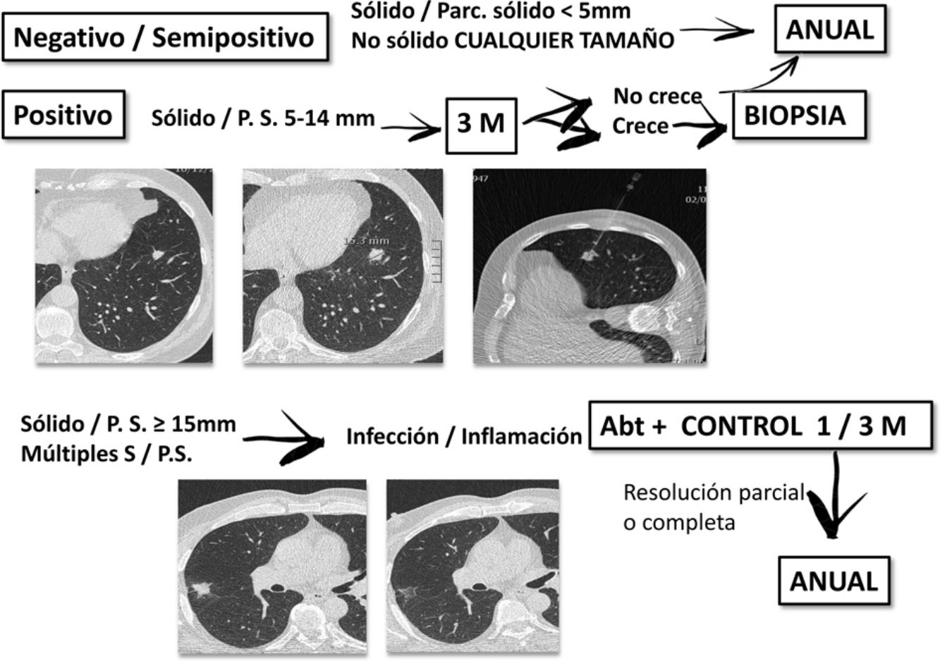 fig0015