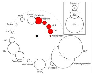 The “comorbidome” is a graphic expression of comorbities with more than 5% prevalence in the entire cohort. The area of the circles relates to the prevalence of the disease. The proximity to the center (mortality) express the strength of the association between the disease and the risk of death. This was scaled from the inverse of the HR (1/HR). The dotted line represents HR=1. Beyond the line, HR are less than 1. The red bubble represents statistical significance association (HR>1; P<.05). Abbreviations: HF: heart failure. CKD: chronic kidney disease. IHD: ischemic heart disease. CVA: cerebrovascular accidents. DM: diabetes mellitus. DLP: dyslipidemia. PADs: peripheral arterial disease.