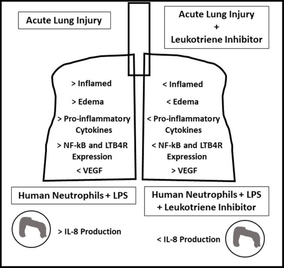 fig0035