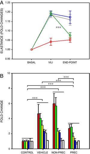 Biophysically preconditioned MSCs reduced VILI. (A) Time course of respiratory elastance (relative to baseline value) in rats subjected to VILI and treated with: vehicle (no-MSCs) (grey), non-preconditioned MSCs (blue) and preconditioned MSCs (green). Red line corresponds to rats maintained with baseline ventilation (no VILI induction). *** Means P<.001 comparing elastance measured after 30min of injured ventilation (VILI) and after 4h of treatment (END-POINT) with paired t-test. (B) Fold changes measured at the END-POINT in lung oedema (white) and bronchoalveolar lavage fluid concentrations of proteins (green), total cells (red), neutrophils (grey), TNF-α (blue) and CXCL2 (yellow), for control ventilation (CONTROL: no VILI induction) and treatment with: VEHICLE (no-MSCs), non-preconditioned (NON-PREC) MSCs and preconditioned (PREC) MSCs. Data are mean±SE. *** Means P<.001 in a rank-ANOVA to the sum of these 6 variables after applying a normal standardization.