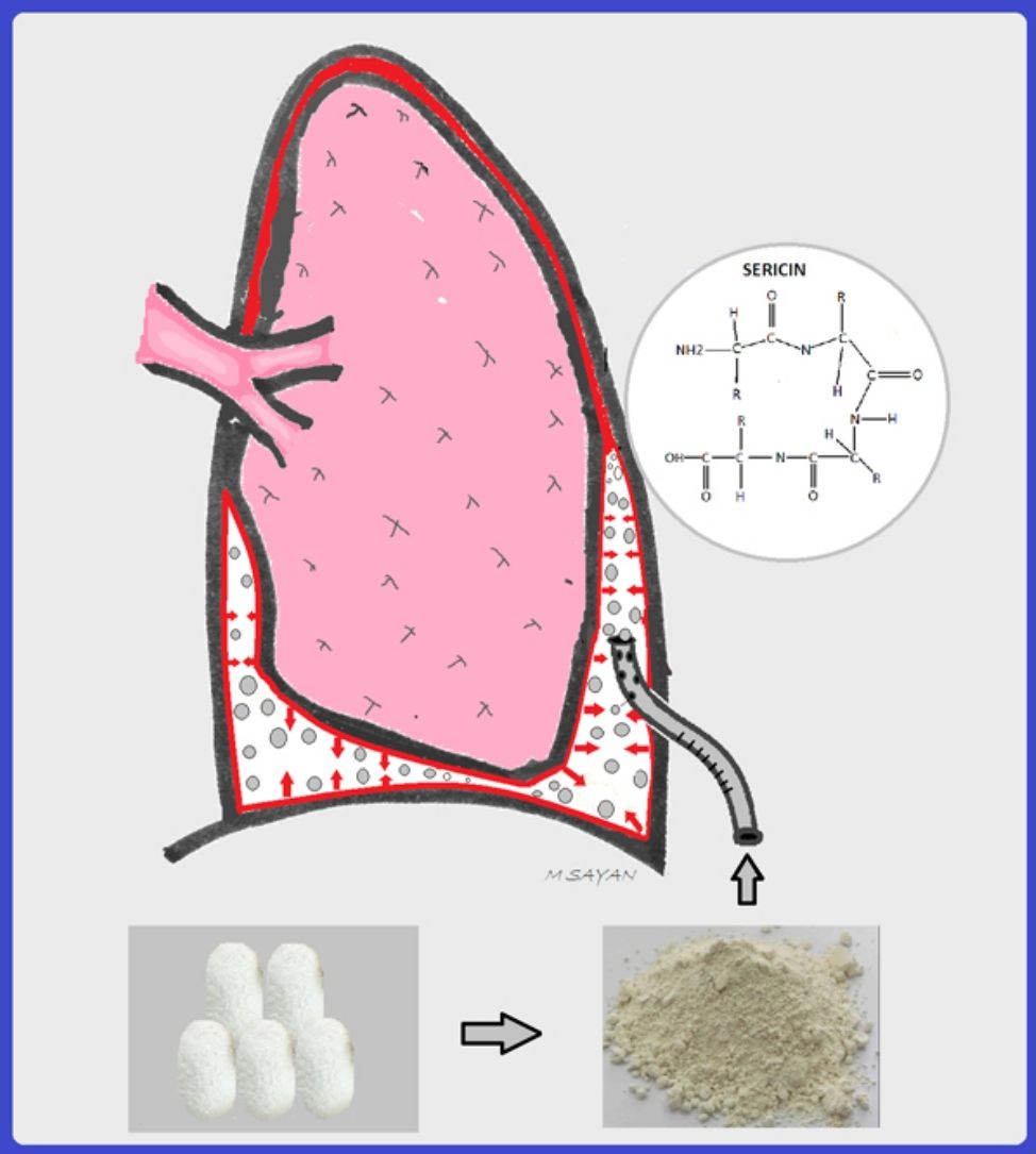 fig0025