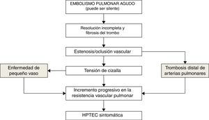 Fisiopatología de la hipertensión pulmonar tromboembólica crónica.