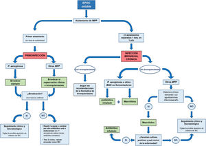 Diagrama resumen del manejo de los pacientes con EPOC en los que se aíslan microorganismos potencialmente patógenos. BGN: bacilos gramnegativos; EPOC: enfermedad pulmonar obstructiva crónica; IBC: infección bronquial crónica; MPP: microorganismos potencialmente patógenos.