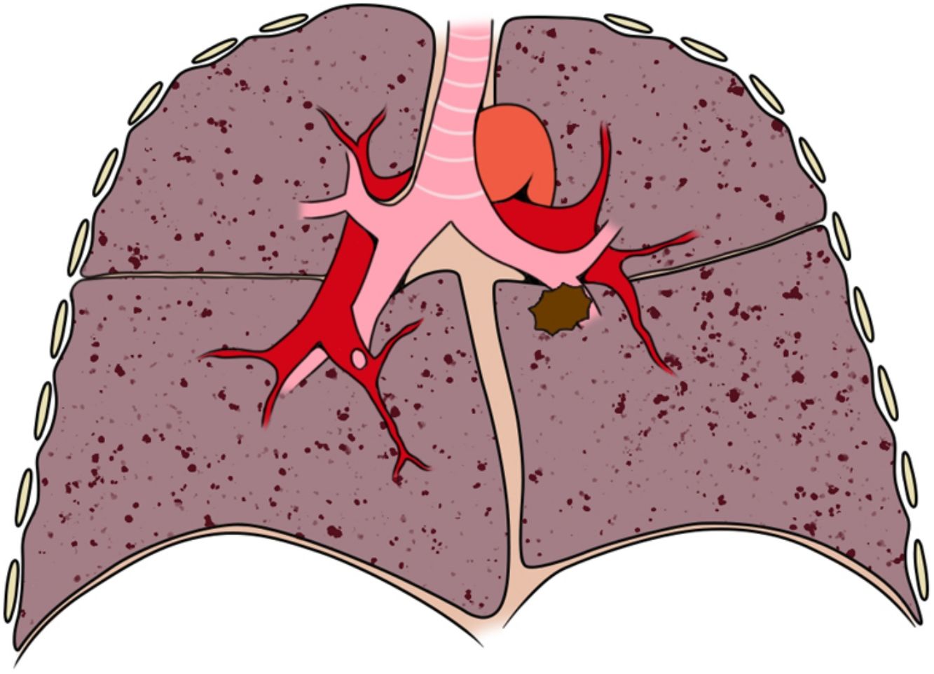 fig0020