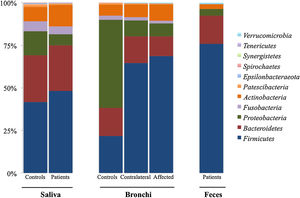 Bacterial phyla distribution in each sample showing a high abundance of Firmicutes in lung cancer patients, combined with lower proportions of Proteobacteria.