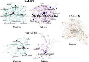 Microbiota core of the most abundant genera accounting for 90% of total. The abundance of each genus is represented by the circle size and the numbers of connections were determined by their frequency.
