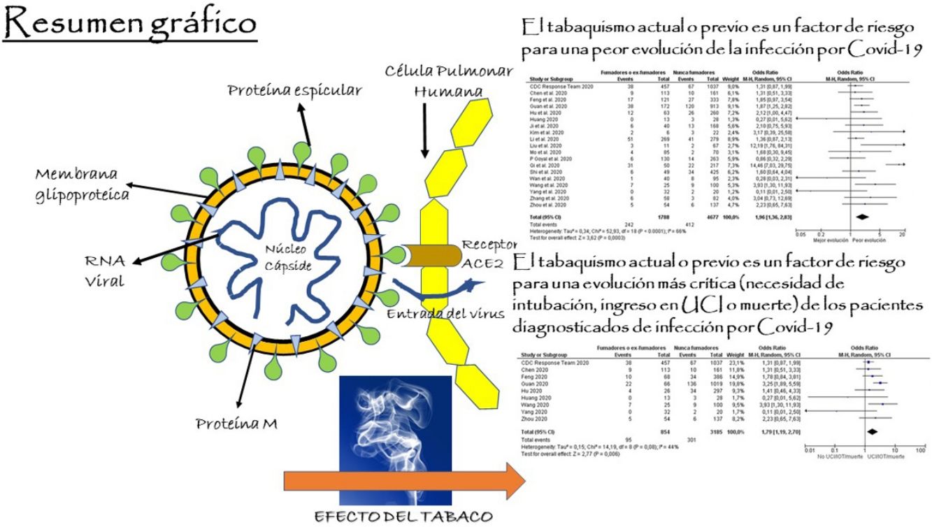 fig0020