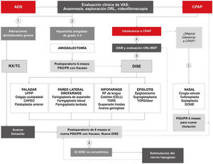 Algoritmo de indicación del tratamiento quirúrgico de la apnea obstructiva del sueño (AOS) siguiendo la medicina precisa y personalizada. CAPSO: cautery-assisted palatal stiffening operation; CELL: coblator endoscopic lingual lightening; CPAP: presión positiva continua en las vías respiratorias; DAM: dispositivo de avance mandibular; DISE: drug-induced sleep endoscopy; DOME: distraction osteogenesis maxillary expansion; ORL/MXF: otorrinolaringología/maxilofacial; PR: poligrafía respiratoria; PSG: polisomnografía; RX/TC: estudios radiológicos; TORS: cirugía robótica transoral; UPPP: uvulopalatofaringoplastia; VAS: vía aérea superior. 1) Si hay alteraciones dentofaciales graves, puede indicarse de forma directa un avance bimaxilar, si bien la CPAP será prescrita hasta la cirugía. 2) Si hay hipertrofia amigdalar de grado≥3, puede indicarse de forma directa una amigdalectomía, si bien la CPAP será prescrita hasta la cirugía. 3) Si hay intolerancia a la CPAP, tras evaluación ORL, se recomienda cirugía nasal lo antes posible para mejorar dicha intolerancia y retitular la CPAP. 4) Si hay intolerancia a la CPAP, tras evaluación odontológica/maxilofacial, se recomienda adaptar DAM o valorar cirugía ortognática. 5) Si hay intolerancia a la CPAP, tras evaluación ORL, se recomienda DISE para determinar el tratamiento más adecuado de la VAS. 6) Tras intolerancia a la CPAP y fracaso de otras cirugías, se recomienda nueva DISE. Si el colapso no es concéntrico, se podrá indicar la neuroestimulación del hipogloso.