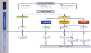 Treatment of COPD guided by risk level and phenotype. (*) Second-line in patients with blood eosinophils >100 cells/mm3, according to the frequency, severity and etiology of the exacerbations, assessing the risk of pneumonia.