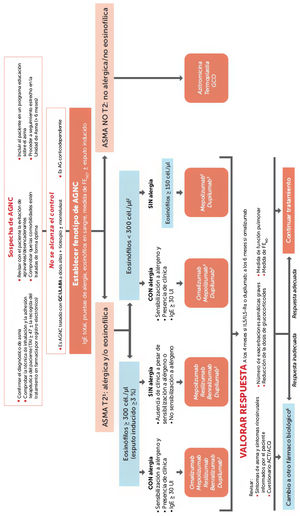 Tratamiento del asma grave no controlada según fenotipo inflamatorio. ACQ: Cuestionario de Control del Asma; ACT: Test de Control del Asma; AG: asma grave; AGNC: asma grave no controlada; GCI: glucocorticoides inhalados; GCO: glucocorticoides orales; LABA: broncodilatadores de larga duración; TAI: Test de Adhesión a Inhaladores.