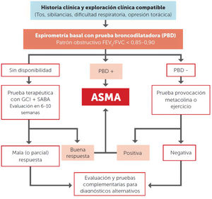 Algoritmo de diagnóstico de asma en niños. Prueba broncodilatadora (PBD) positiva: incremento del FEV1 > 12% con respecto al valor basal.