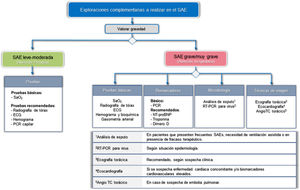 Exploraciones complementarias recomendadas para el SAE, en función del nivel asistencial. AngioTC: angiografía pulmonar por tomografía computarizada; ECG: electrocardiograma; NT-proBNP: fracción N-terminal del propéptido natriurético cerebral; PCR: proteína C reactiva; RT-PCR: reacción en cadena de polimerasa con transcriptasa inversa; SaO2: Saturación arterial de oxígeno.
