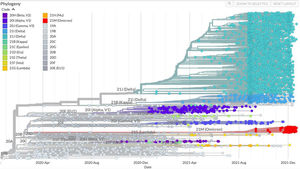 Genomic epidemiology of novel coronavirus – global subsampling. Footnote: Note in red colour the recent surge of VOC Omicron.