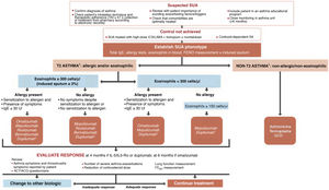 Treatment of severe uncontrolled asthma according to inflammatory phenotype. ACT: Asthma Control Test; ACQ: Asthma Control Questionnaire; ICS: inhaled corticosteroids; LABA: long-acting bronchodilators; OCS: oral corticosteroids; SA: severe asthma; SUA: severe uncontrolled asthma; TAI: Test of Adherence to Inhalers.