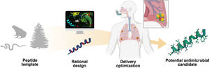 Schematic representation of the AMP optimization process against “superbugs” responsible for RTIs. Nature provides multiple peptide templates that can be rationally designed through different methodologies, such as site-directed mutagenesis or computational-based approaches, yielding potential lead molecules. Due to the difficulty of the administration of AMPs on the lungs, different delivery optimization approaches should be done in order to obtain a potential antimicrobial candidate.