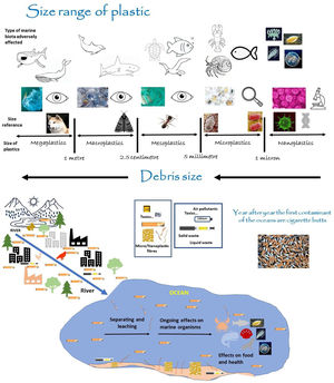 UP: size range of plastic pieces (A more scientifically rigorous definition of plastic pieces might refer to nano-, micro-, meso-, macro and mega-size ranges, although this has not yet been formally proposed for adoption by the international research community. Ref.: 16). BELOW: Fates and effects of smoked cigarette butts in the environment. Modified from Ref.: 17.