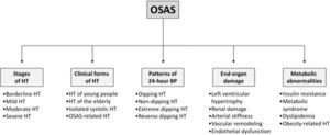 Scheme illustrating the various relationships between obstructive sleep apnea syndrome (OSAS) and high blood pressure. HT: hypertension, BO: blood pressure.