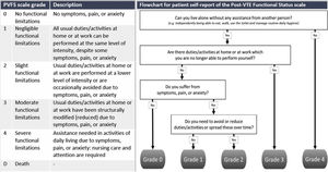 Flowchart for patient self-report of the Post-VTE Functional Status Scale.