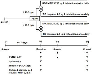 The study algorithm. CAT: COPD assessment test; CBC: complete blood count; DC: differential count; FENO: fractional exhaled nitric oxide; IgE: immunoglobulin E; IL: interleukin; MDI: metered dose inhaler; MMP: matrix metalloproteinase; R: randomization; SFC: salmeterol/fluticasone; TIO: tiotropium.