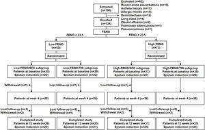 The flow chart of patient enrollment in the study.