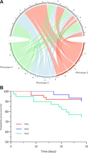 Outcomes of three radiological phenotypes at 28 days. (A) Chord diagram illustrates the ordinal severity scale of the three phenotypes: phenotype 1 is red, phenotype 2 is blue, and phenotype 3 is green. For each phenotype, the severity scale was assessed at admission and after 28 days and is connected by a ribbon whose width is dependent on the number of patients who are different from those in the derivation cohort. (B) Kaplan–Meier curves of each phenotype survival at 28 days after hospital admission.