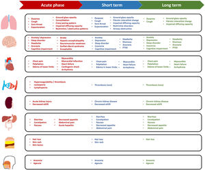 Acute, short- and long-term effects of COVID-19 on multiple organ systems. Clinical manifestations a patient might experience at a specific stage of COVID-19. eGFR: estimated glomerular filtration rate; PTSD: post-traumatic stress disorder.