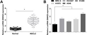 SNHG5 is highly expressed in NSCLC. (A, B) SNHG5 expression in NSCLC tissues and cell lines was detected by RT-qPCR. Measurement data were expressed as mean±standard. In (A), * P<0.05 vs. normal tissues (n=86); in (B), * P<0.05 vs. MRC-5 cells (N=3).