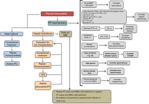 Algorithm for the treatment of pleural transudate. CVCEM, central venous catheter extravascular migration; IPC, indwelling pleural catheter; LDH, lactate dehydrogenase; NT-proBNP, n-terminal pro-brain natriuretic peptide; PF, pleural fluid; PF/S, pleural fluid/serum ratio; PMN, polymorphonuclear; SBE, spontaneous bacterial empyema; TIPS, transjugular intrahepatic portosystemic shunt; TP, total proteins.